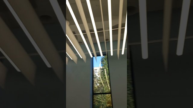 Design of the fitness club "Selform" 