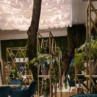 Designer ceilings for cafes and restaurants 