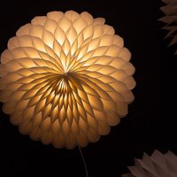Floral forms crafted from architectural paper 