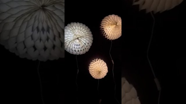 Lunaria — wall and floor light sculptures 