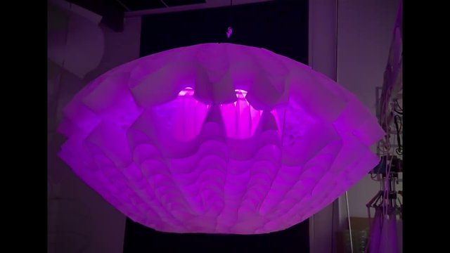 Aquamorph Light in motion — light and form breathe as one 