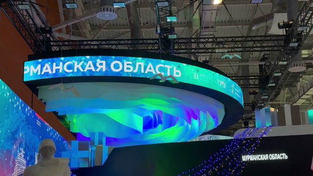 Decorative ceiling for the exhibition stand 