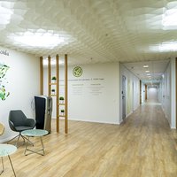 Decorative paper Honeycomb® ceiling 