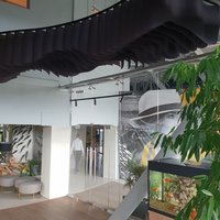 Black paper ceiling made of non-flammable paper 