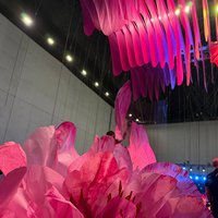 Large flowers made of architectural paper 
