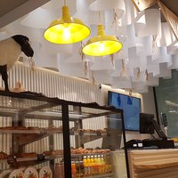 Decorative ceilings for retail interiors by Paper Design® 