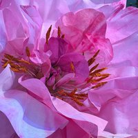 Decorative flower made of architectural paper— Peony Flower 