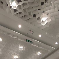 Designer honeycomb ceiling 