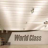 Drop Stripe® lamellar ceiling in "World Class" gym, Moscow 