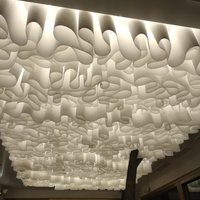 Designer suspended ceiling 