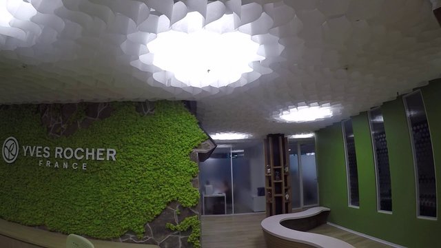 Design of Yves Roche offices in collaboration with architectural bureau «Plus Arch» 