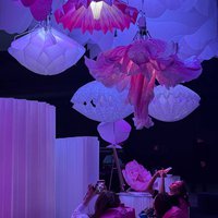 Immersive show at the Paper Design® stand 