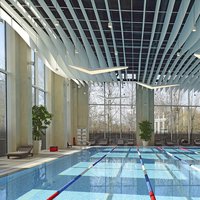 The lamellar ceiling for the swimming pool 