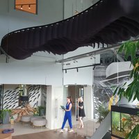 Non-flammable ceilings for restaurants 