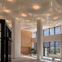 Non-flammable Ceilings for GK Symbol in Moscow 
