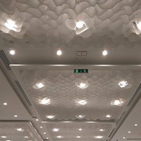 Illuminated non-flammable ceiling 