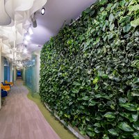 Low ceiling decoration idea in "Skincare" office 