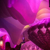 Aquamorph Light shell-shaped art objects 