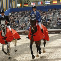 SAUT HERMES horse racing decoration 