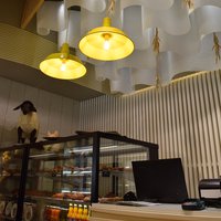 Suspended ceiling for the Organic Club interior 