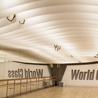 Cellulose ceilings in Moscow, Oruzheiny Lane 