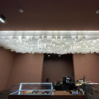 Design solution for the cafe "Nezhnost'" (Tenderness), Saratov 