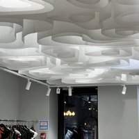 Artistic ceiling for a fashion store 