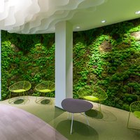 Paper Design ceilings 