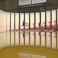 Luminous walls 